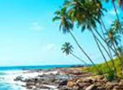 Gem of Sri Lanka Tour