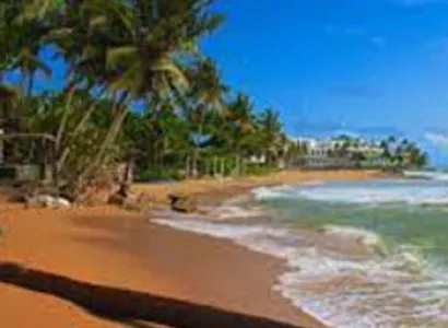 Miracle Sri Lanka Tour