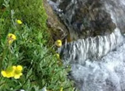 Himachal Hill Station Tour