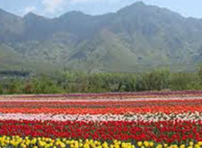 Glimpses of Kashmir Tour