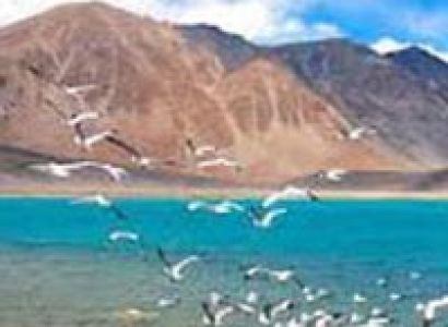 Journey to Ladakh Tour