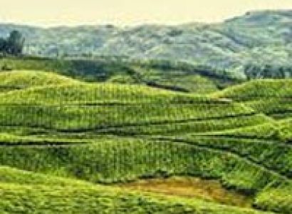 Coonoor with Ooty Tour