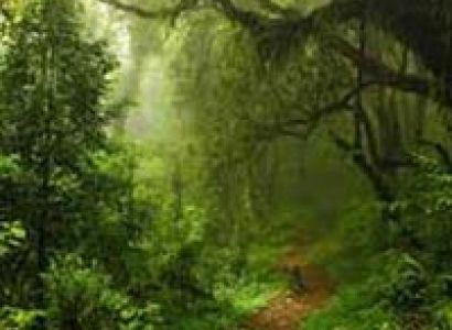 Short Escape to Kabini Tour