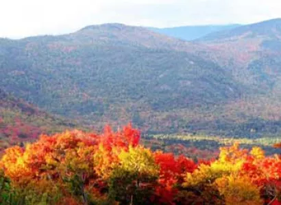 Mysore Ooty Coorg Tour