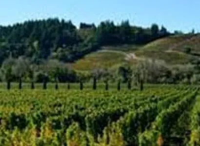 20 DAYS – ALL OF USA Tour