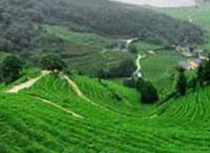Siliguri Darjeeling siliguri Tour