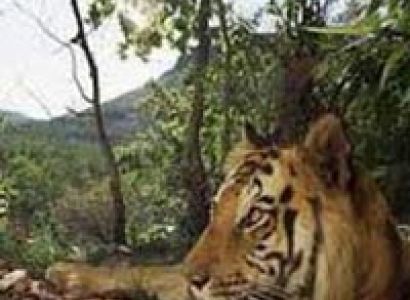 Siliguri- Nepal-Siliguri Tour