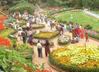 Mysore Sightseeing Tour