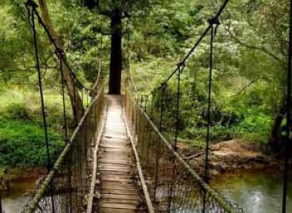 Coorg Sightseeing Tour