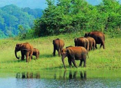 Short Tour To Kabini