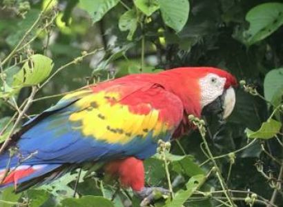 Bird Paradise Tour Package