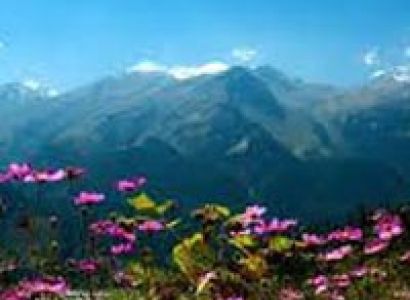 Shimla and Around Tour