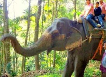 Kerala Family Holidays Package