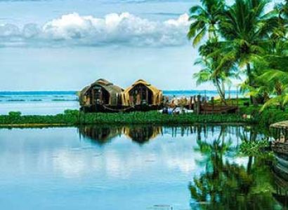 Munnar Honeymoon Tour