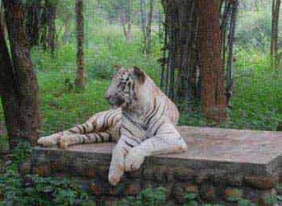 Nature and Eco Tour Package