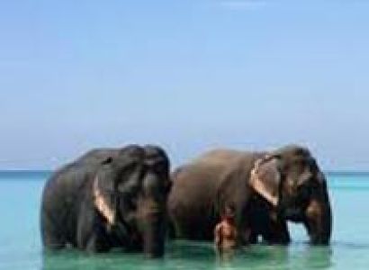 Havelock Neil Escapade Tour