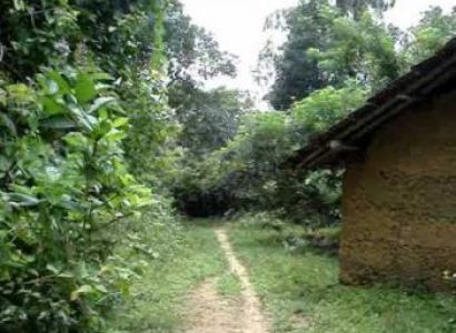 Mini jangle Trail in Kudal, Swimming Tour