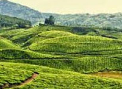 6D/5N Darjeeling Gangtok Tour (South)