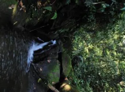 Namdapha National Park and Dibru Saikhowa National Park Package