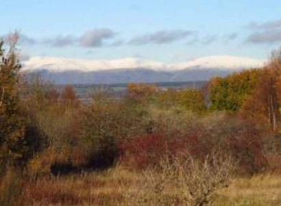 Birders Delight 11 Days & 10 Nights Tour Package