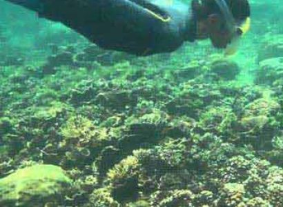 Twin Island Adventure Tour