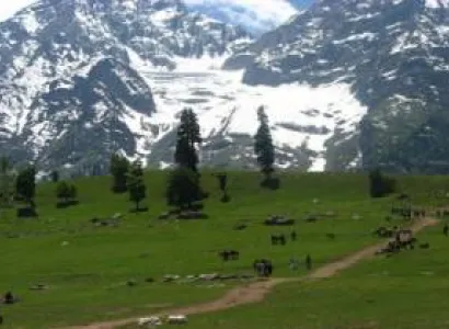 Best of Jammu & Kashmir Tour