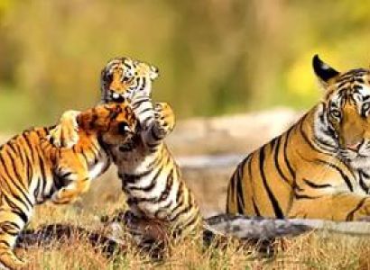 Adventure North East Tour