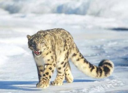 Discover The Himalayas ! 09 Nights/ 10 Days Tour