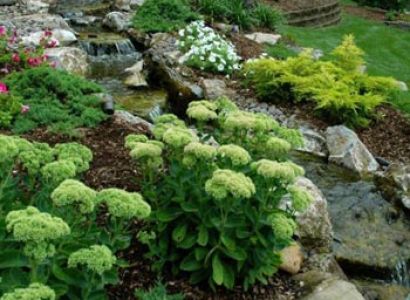 Himachal Temple Tour