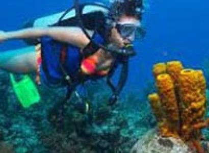Discover Andaman With Neil Island Tour