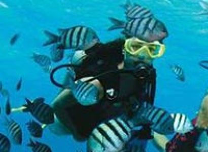 Exotic Andaman Package