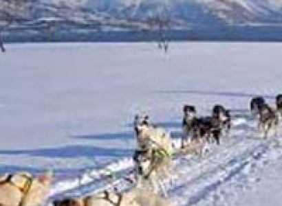 Scandinavian Northern Lights Tour