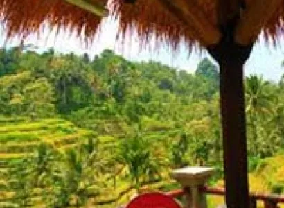 Kuta and Ubud 3 Star Package for 5 Days