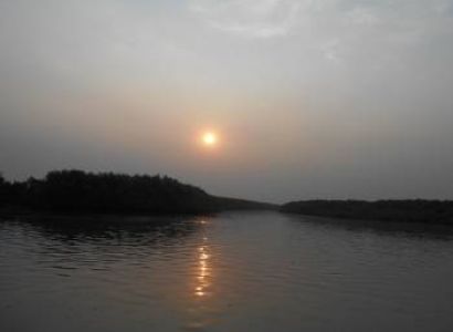 Mangrove Safari  - Sundarban