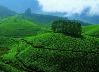 Hill Stations of South India Tour
