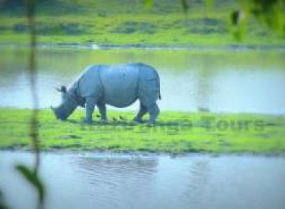 Wildlife and Tribes of Northeast India Tour Package