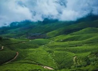 Monsoon Green and Tea Plantations Tour Package