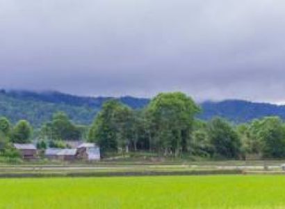 The Apatanis of Ziro Valley Tour