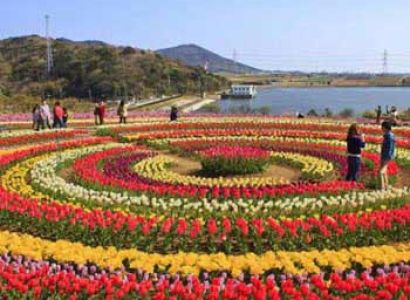 Enchanting Kashmir Package