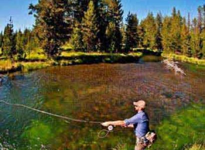 Trout Fishing Tour