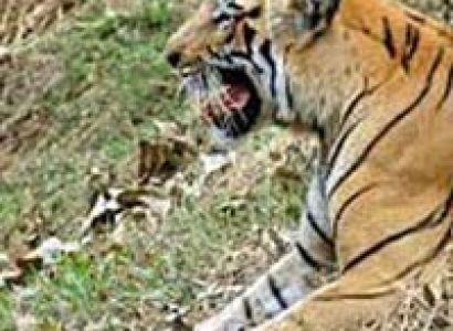 Nature Tours in Odisha