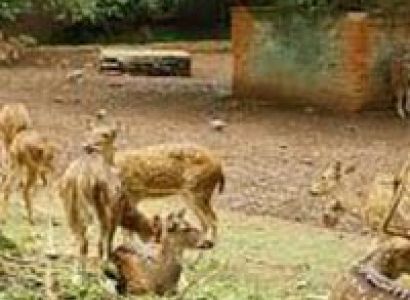 Religious Tours in Odisha