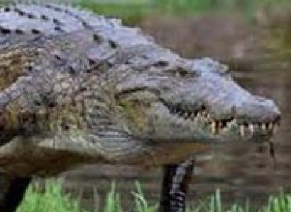 Adventure Tour to Odisha