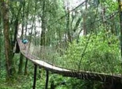 Kalimpong packages 04 Days