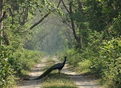 Kalimpong  package  05 Days