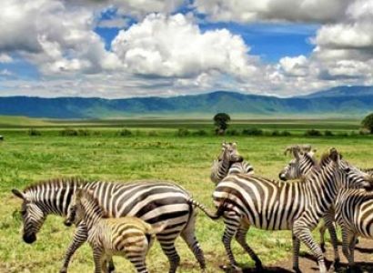 Serengeti And Ngorongoro Safari, 6 Days Tour