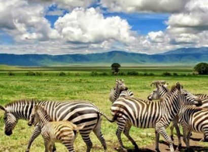 12 Days Tour To Ngorongoro Manyara Zanzibar