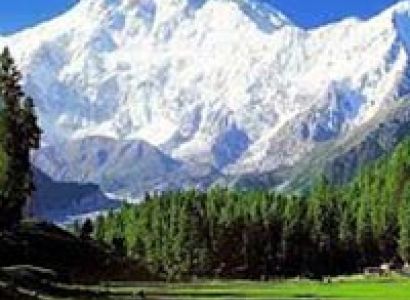 Charm of Ranikhet Tour