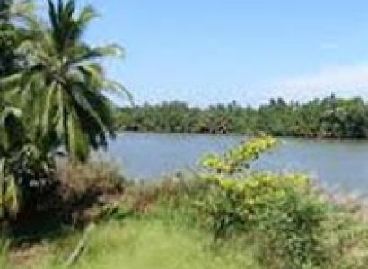 Sri Lanka 3 Star Package for 5 Days Tour