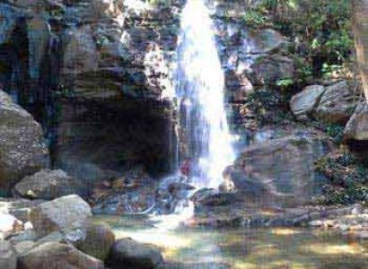 Satpura Queen 4 Nights/ 5 Days Package